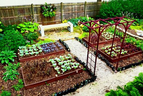 Идеи для сада и обзоры Consta Garden